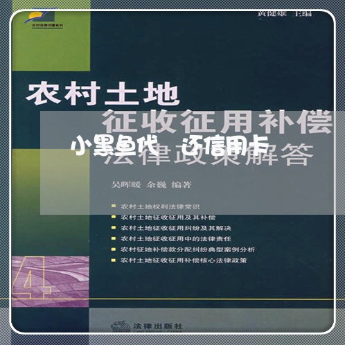 小黑鱼代 还信用卡/2023073135350